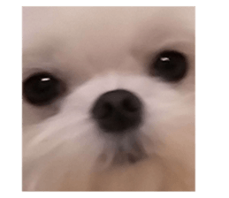 585201457