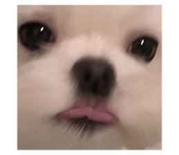 585201461
