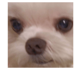 585201470