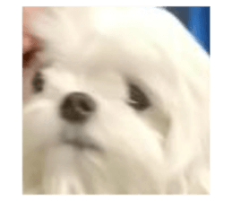 585201471