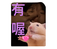 585204519