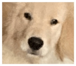 ลายที่ 1