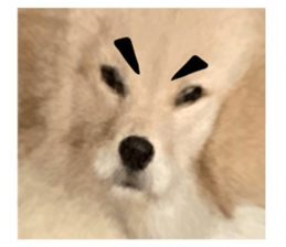 ลายที่ 3