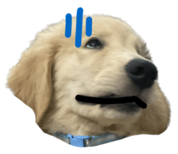 ลายที่ 9