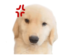 ลายที่ 15