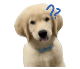 ลายที่ 19