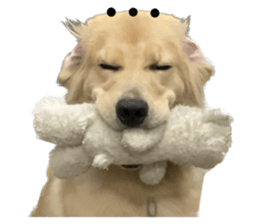 ลายที่ 23