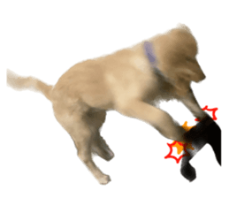 ลายที่ 39