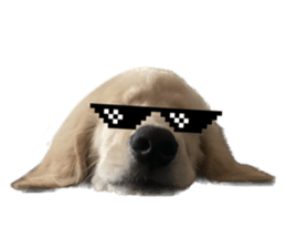 ลายที่ 45