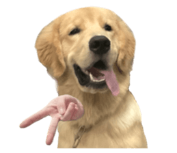 ลายที่ 57