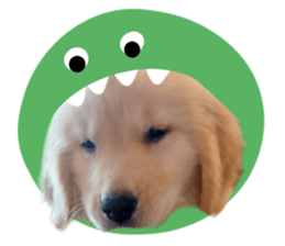 ลายที่ 65