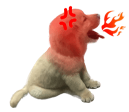 ลายที่ 69