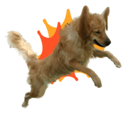 ลายที่ 71