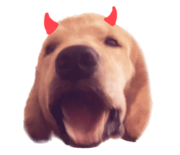 ลายที่ 73