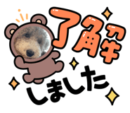 585215867