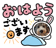 585215869