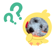 585215874