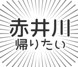 585236805