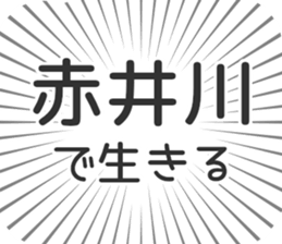 585236808