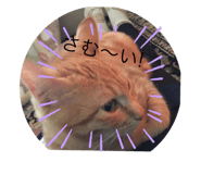 585287626