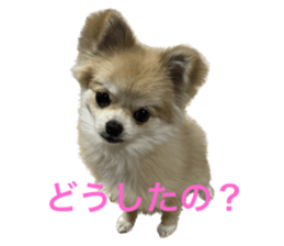 585300104