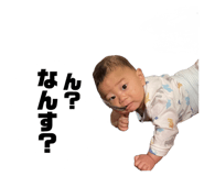 585317006