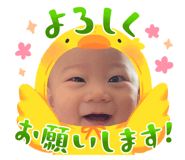 585317025