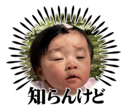 585447779