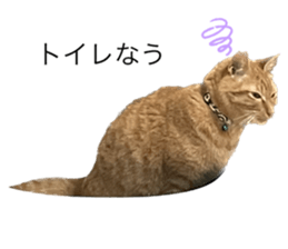 585478402