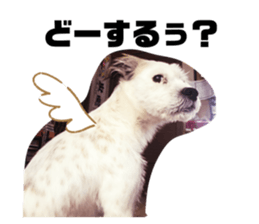 585505307