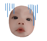 585537017