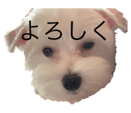585566880