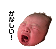 585668016