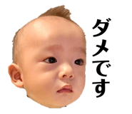 585668023