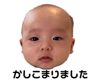 585668028