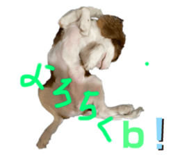 585684515