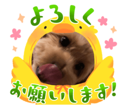 585686774