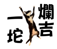 585693494