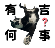 585693509
