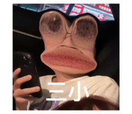 585716531