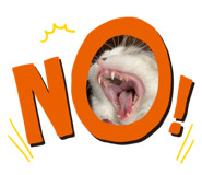 585790289