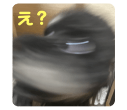 585791361