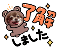 585791551