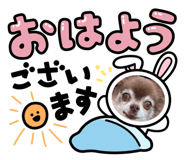 585791556