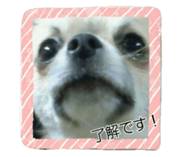 58582344