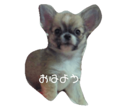 58582349