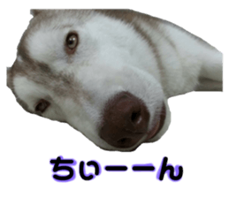 58592112