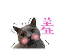 585987647