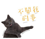 585987651