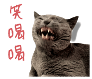 585987653